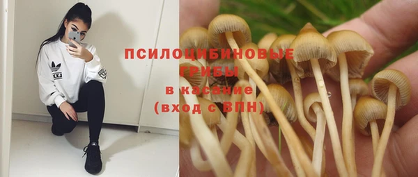 ECSTASY Покровск
