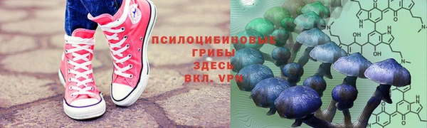 МДПВ Покачи
