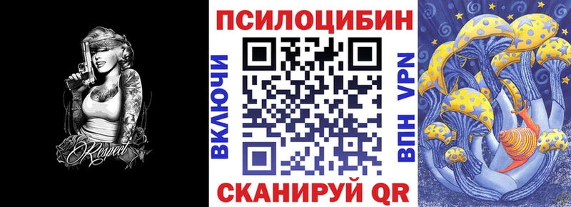 как найти наркотики  Бакал  Псилоцибиновые грибы Cubensis 